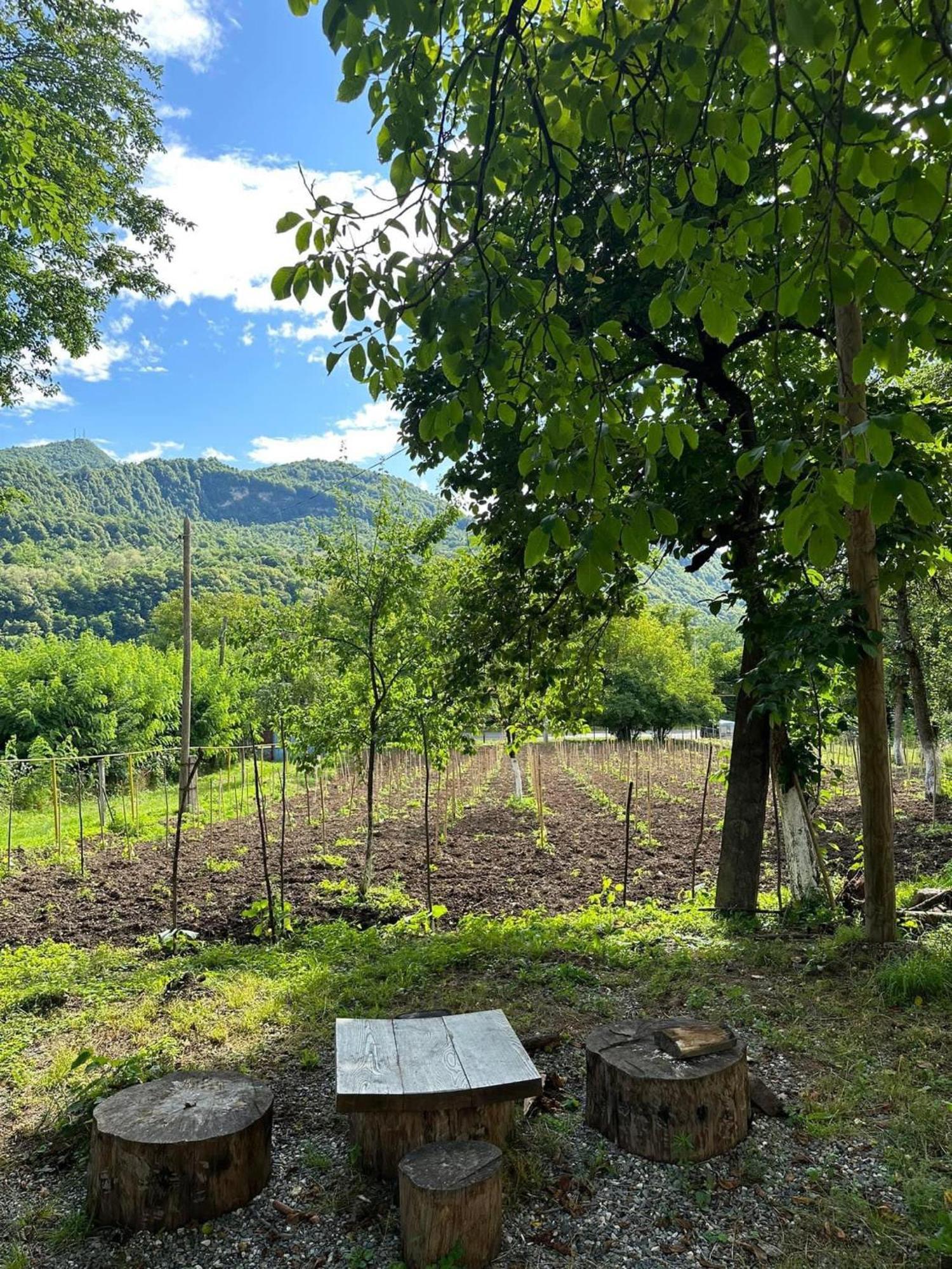 Kipiani Guest House Ყიფიანის Სახლი Khvanchkara 外观 照片