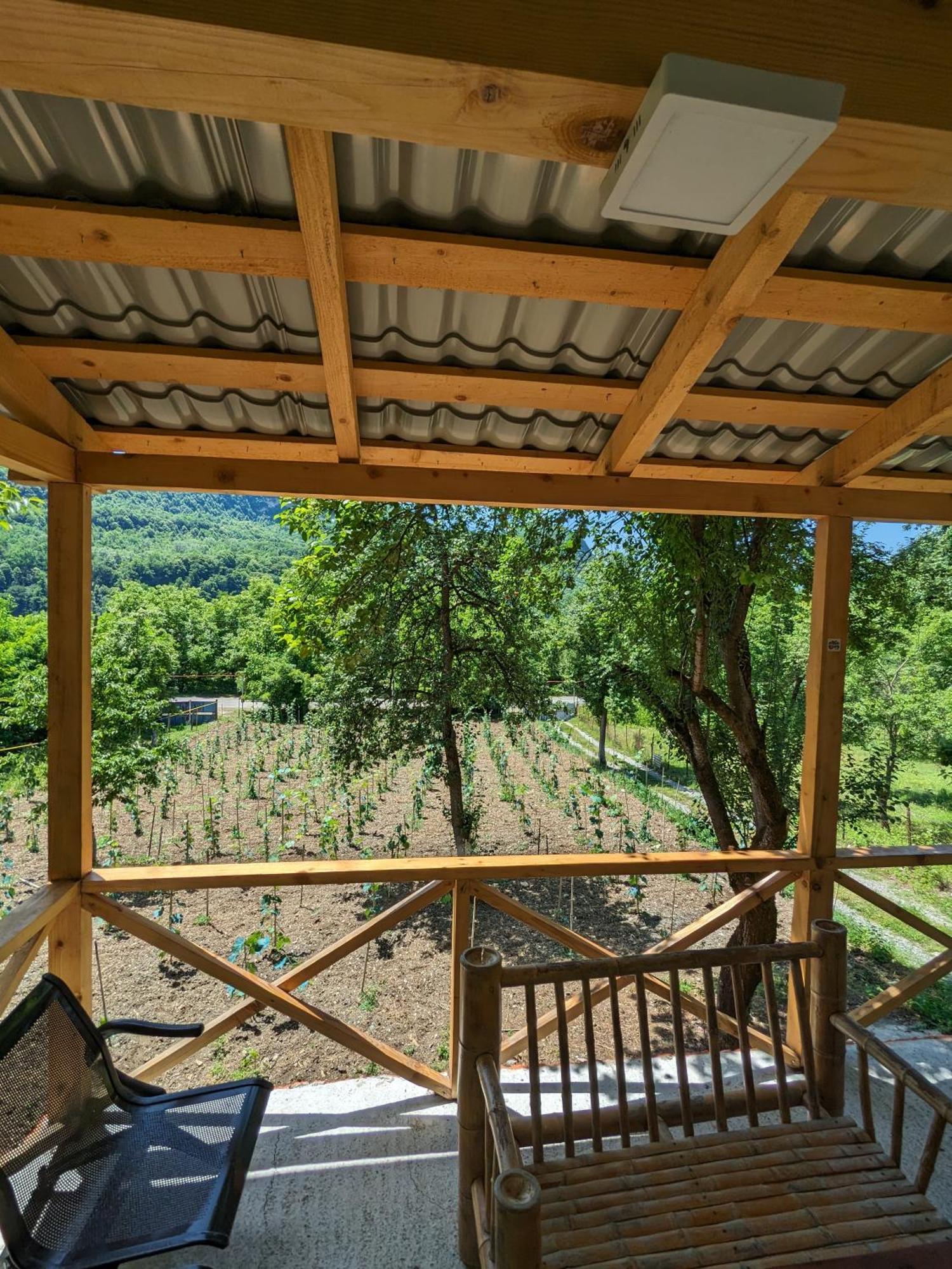 Kipiani Guest House Ყიფიანის Სახლი Khvanchkara 外观 照片